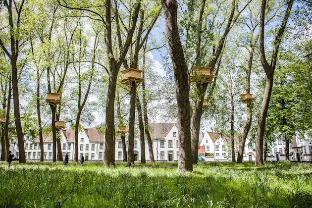 The tree houses in the Beguinage garden are poetic sculptures that explore the boundaries between art, architecture and nature. They are a surprising presence: the childlike, playful and adventurous spirit of a treehouse. Especially, in the spiritual, quiet and serious context of the Beguinage. Children playing in the trees are not easily expected. And, this apparent dichotomy is exactly why the wooden constructions become an invitation to dream. High up in the trees, they seem like charming watchers, as though protectors of the residents and visitors. Even more, the tree houses were also little places of retreat, if only in the imagination. The unreachable sculptures make one long for a private, peaceful place all to oneself.