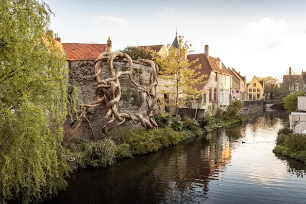 De verdoken archeologische restanten van de eerste middeleeuwse stadsomwalling inspireerde Henrique Oliveira voor zijn installatie. De houten takken van Banisteria Caapi (Desnatureza 4) kruipen over de stenen rand tot aan het water. Het lijkt alsof de natuur achter de ommuurde tuinen vrij spel heeft, maar zijn installatie is misleidend. De takken zijn artificieel en bootsen de natuur op een virtuoze wijze na. Op een subtiele manier speelt de kunstenaar een spel met wat we dagelijks zien in de stad en wat achter die werkelijkheid schuilt. En hoe ons leven kan bepaald of gestuurd worden door zaken die onbewust in onze omgeving aanwezig zijn.