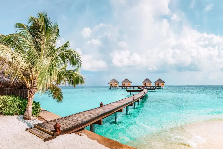 Island Paradise