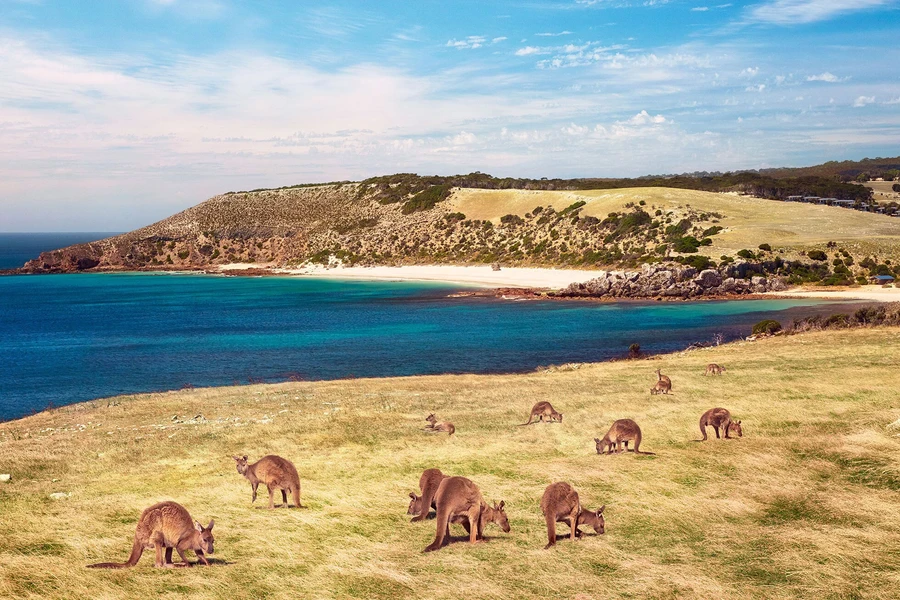 All Of Australia’s Best Islands Worth Travelling To stokes bayKangaroo Island, South Australia