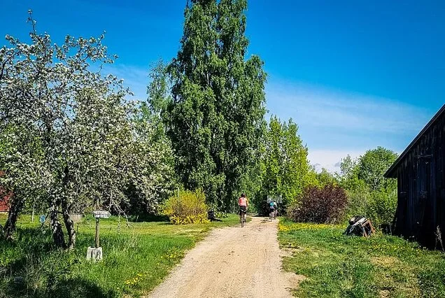 Lakeland by e-bike
Saimaa