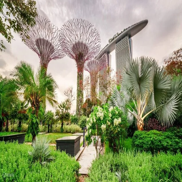Gardens by the Bay and City Tour Join In Landmark Tour-Travoley