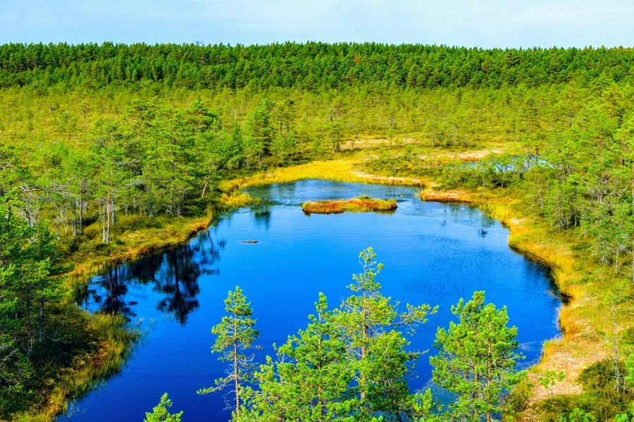 Lahemaa National Park