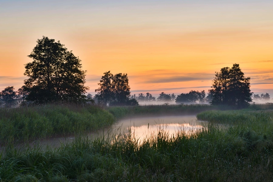 Matsalu National Park