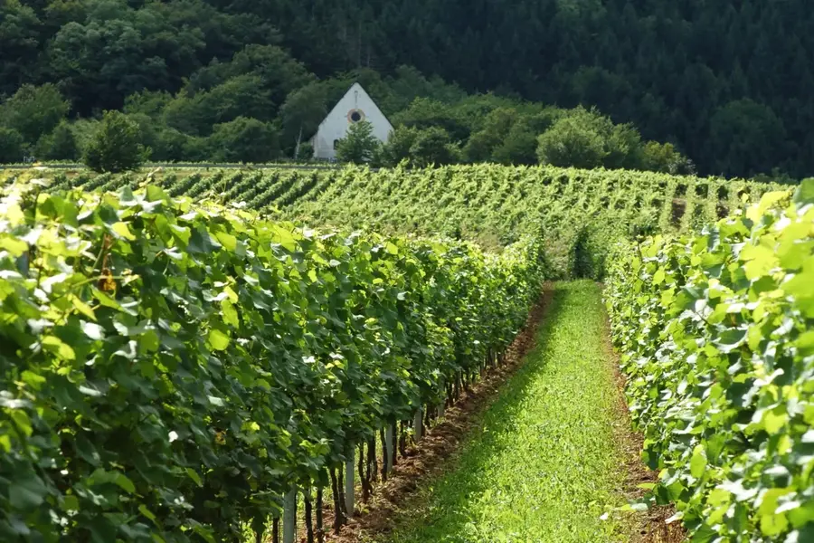 Mosel Valley, between Eifel and Hunsrück mountains