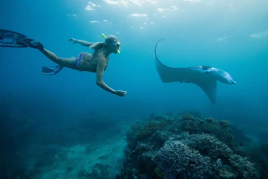 April Diving Fiji
