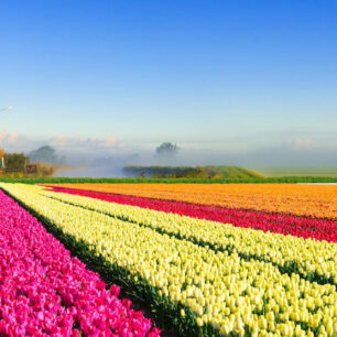 The Netherlands