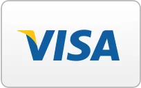 Visa Payments