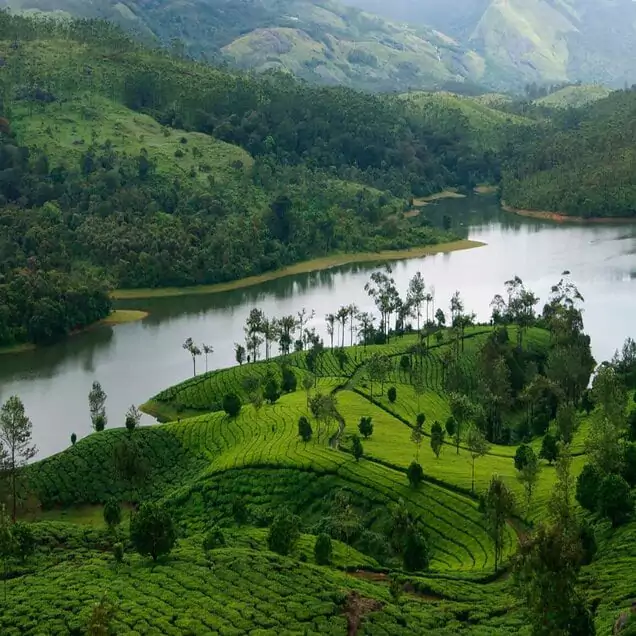 Kerala Munnar