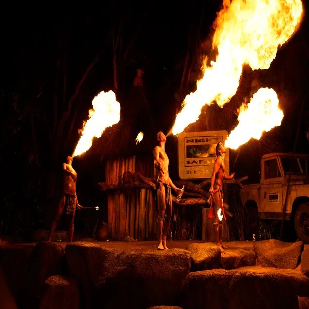 Night Safari