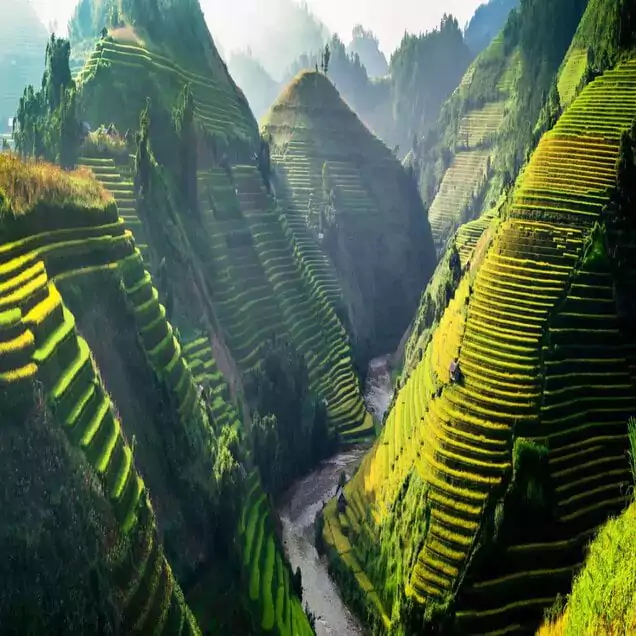 Rice terraces of Sa Pa