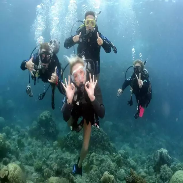 Scuba Dive in Crystal Clear Waters