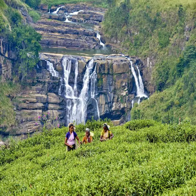 Nuwara Eliya