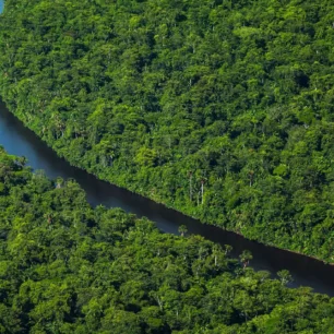 Suriname