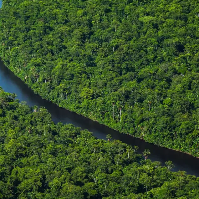 Suriname