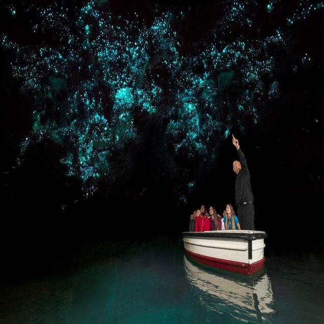Waitomo Caves