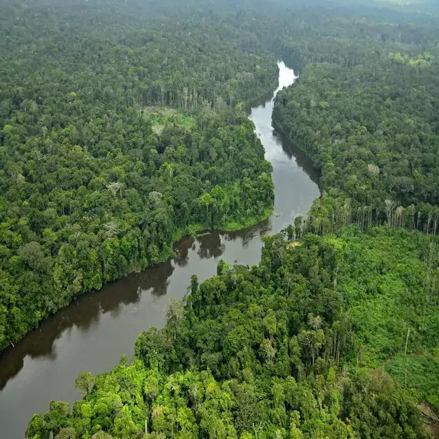 Pokigron is a town in Suriname located on the Upper Suriname River near the Brokopondo Reservoir. It is located in the Boven Suriname municipality in the Sipaliwini District. It has a population of approximately 400 people in 2018. Pokigron is located at the end of a paved road via Brownsweg to the Avobakaweg.
