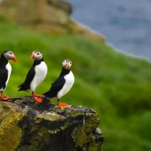 Faroe Islands