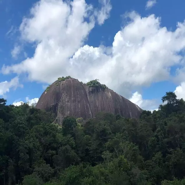 Voltzberg is a mountain in Suriname at 240 metres. It is part of the Emma Range and is located in the Sipaliwini District. It is named after the German geologist Friedrich Voltz. Voltzberg used to form a nature reserve together with the close by Raleigh Falls.